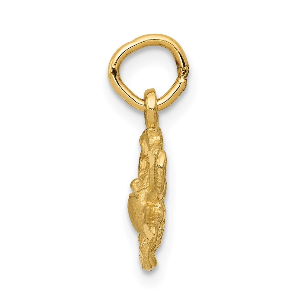 14k Yellow Gold Satin Diamond-cut Cancer Zodiac Charm