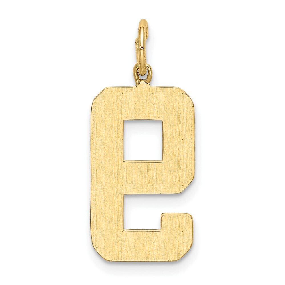 14k Yellow Gold Large Polished Number 9 Charm Pendant for Women