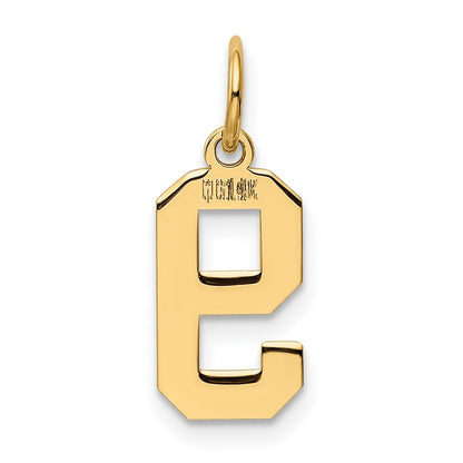 14k Yellow Gold Small Polished Number 9 Charm