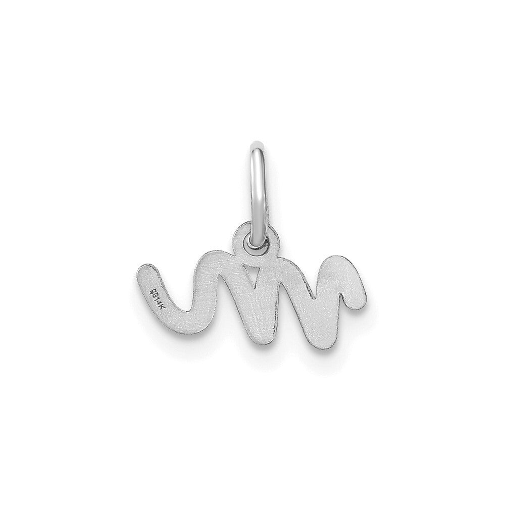 14k White Gold Lower case Letter M Initial Charm Pendant for Women