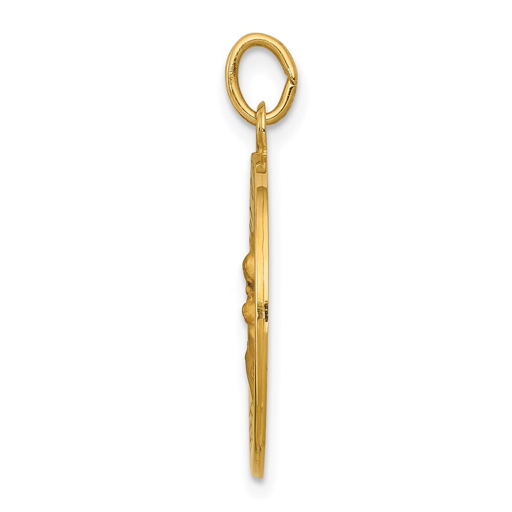 14k Yellow Gold Our Lady of Perpetual Help Medal Pendant for Women