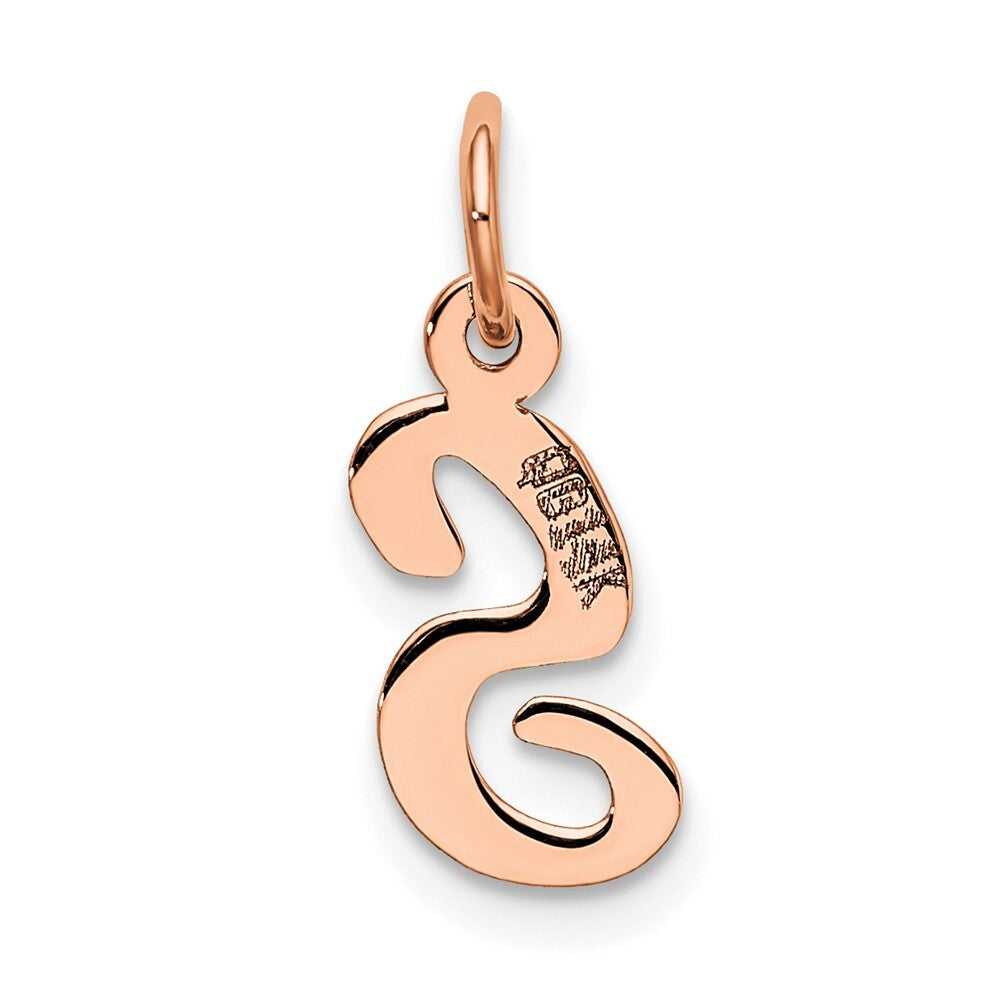 14k Rose Gold Small Script Letter S Initial Charm Pendant for Women