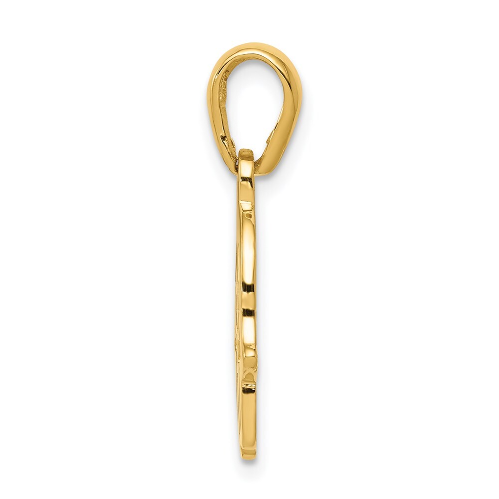 14k Yellow Gold Star of David Chamseh Pendant for Women
