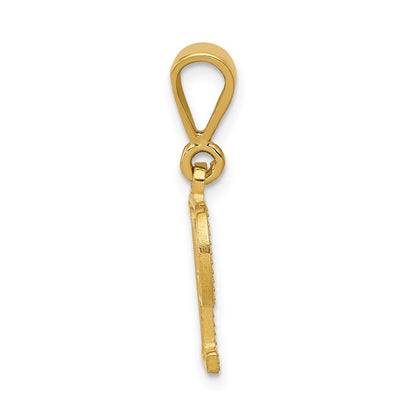 14k Yellow Gold Textured Initial P Charm Pendant