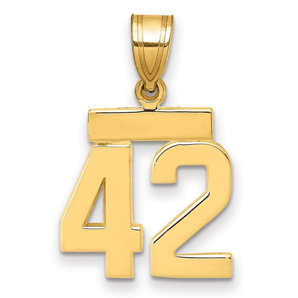 14k Yellow Gold Small Polished Number 42 Charm Pendant