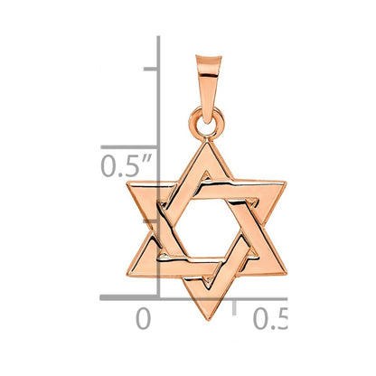 14k Rose Gold Rose Polished Solid Star of David Pendant for Women