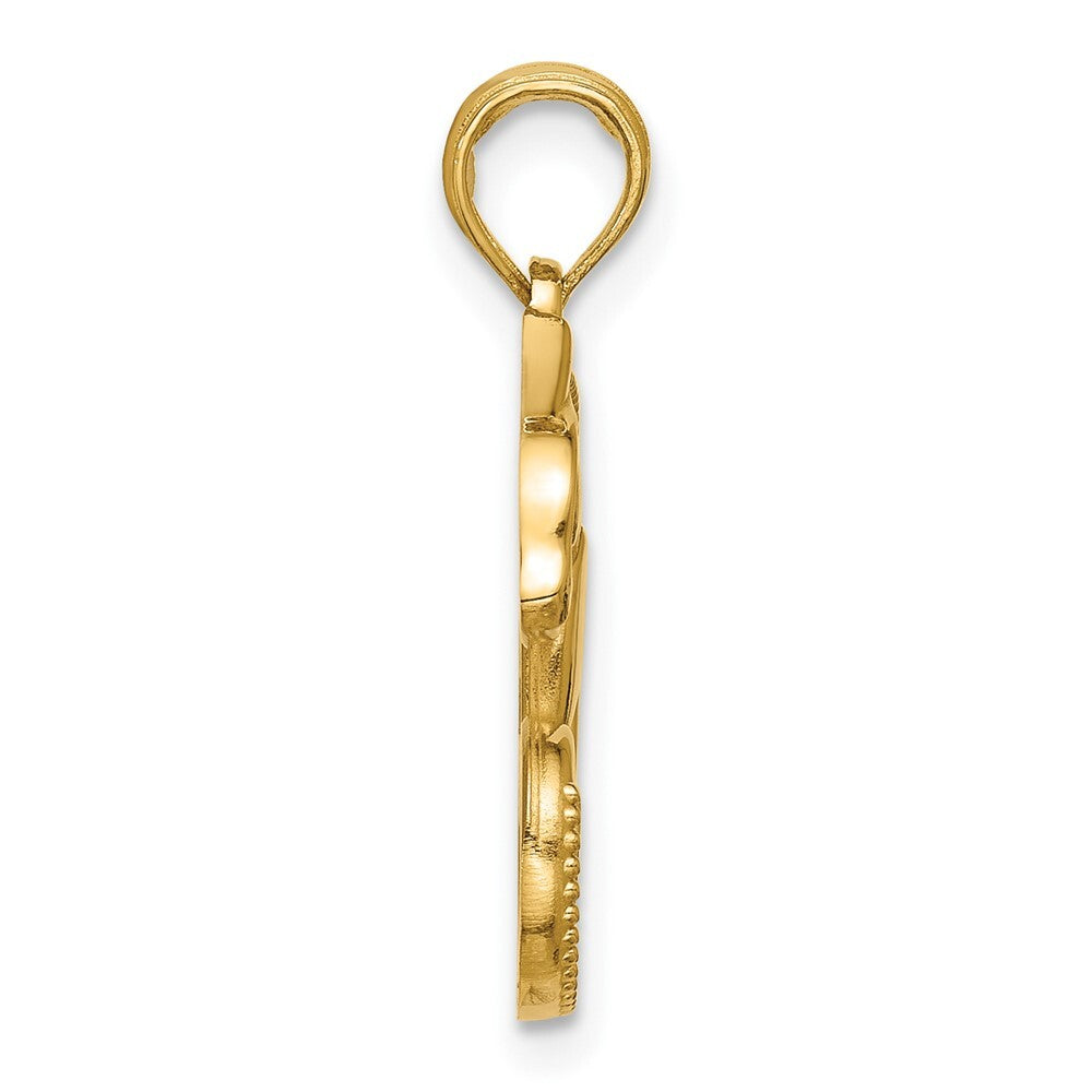 14k Yellow Gold Polished Chameleon Pendant for Women