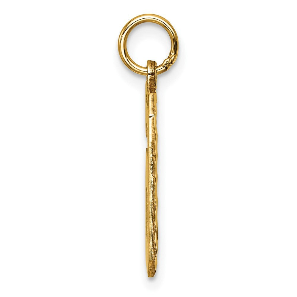 14k Yellow Gold Large Brushed Diamond-cut  Number 6 Charm