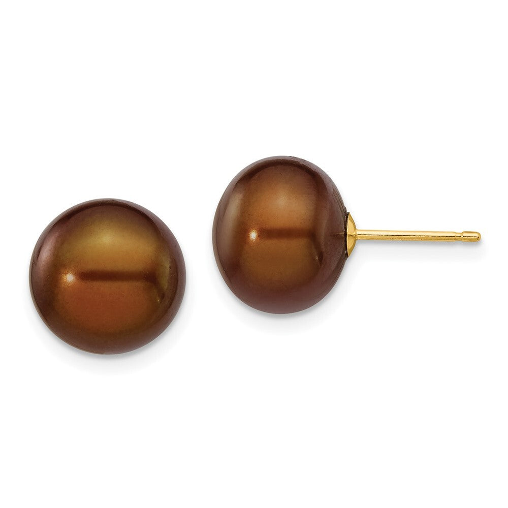 14k Yellow Gold 10-11mm Brown Button Freshwater Cultured Pearl Stud Earrings