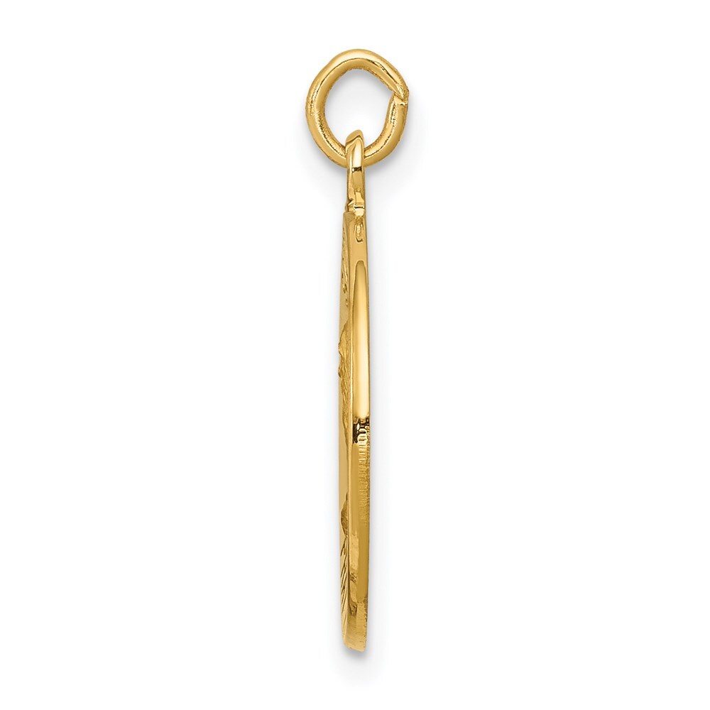 14k Yellow Gold Saint Andrew Medal Charm Pendant for Women