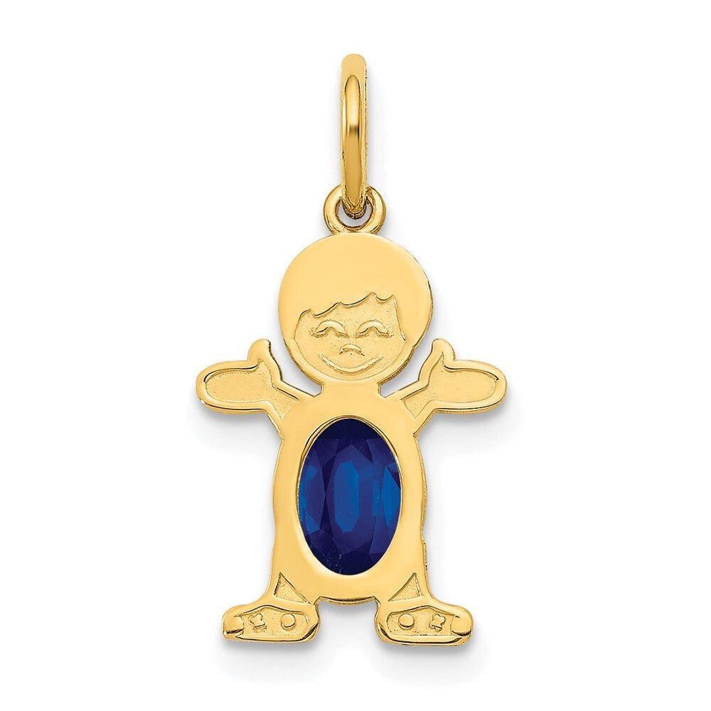 14k Yellow Gold Boy 6x4 Oval Genuine Sapphire-September Pendant for Women