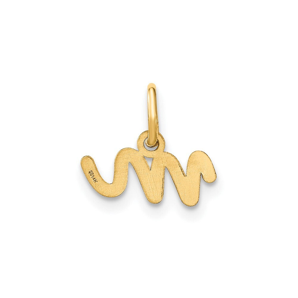 14k Yellow Gold Lower case Letter M Initial Charm Pendant for Women