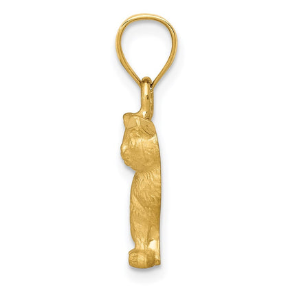 14k Yellow Gold Diamond-cut Cat Pendant for Women
