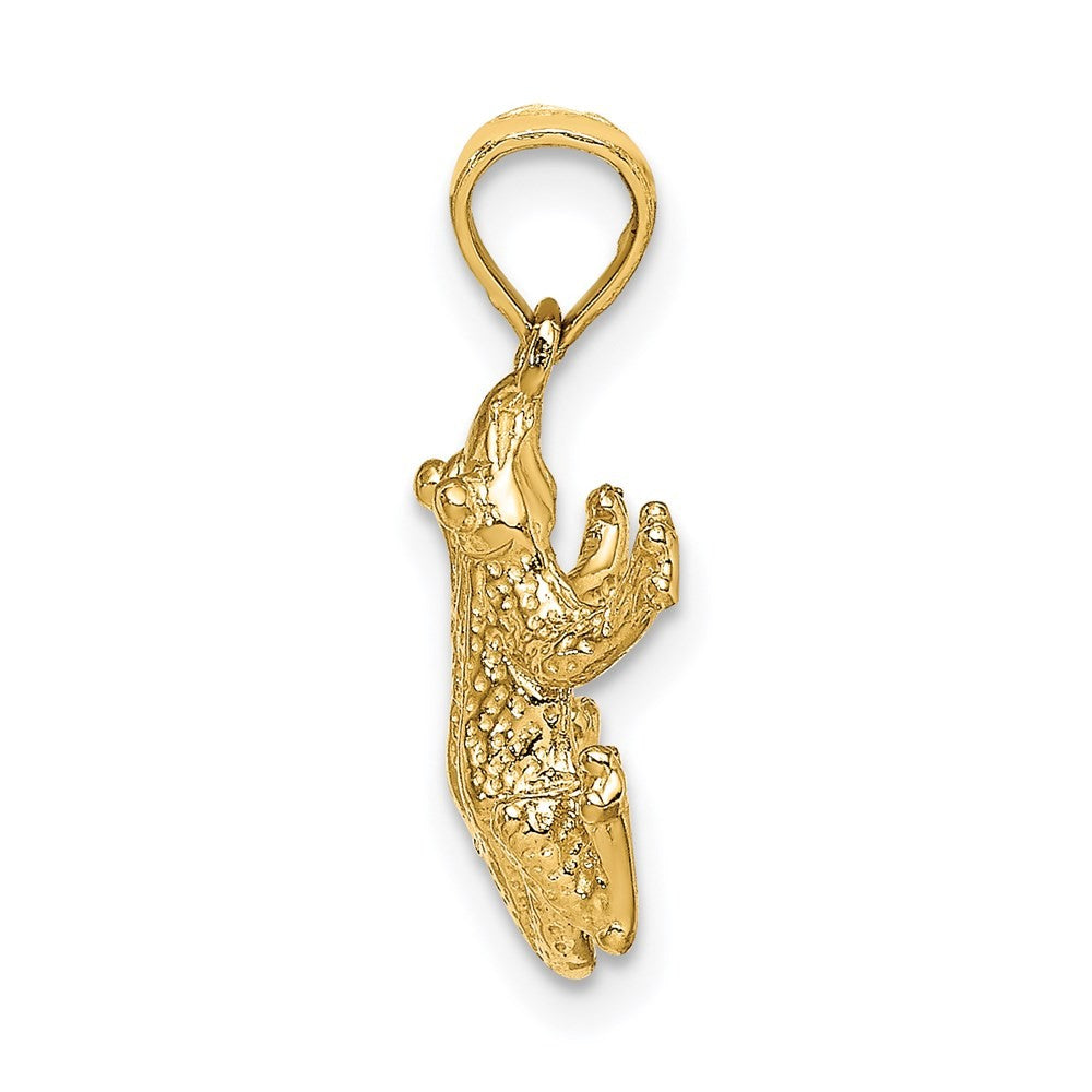 14k Yellow Gold 2-D Textured Top View Frog Charm
