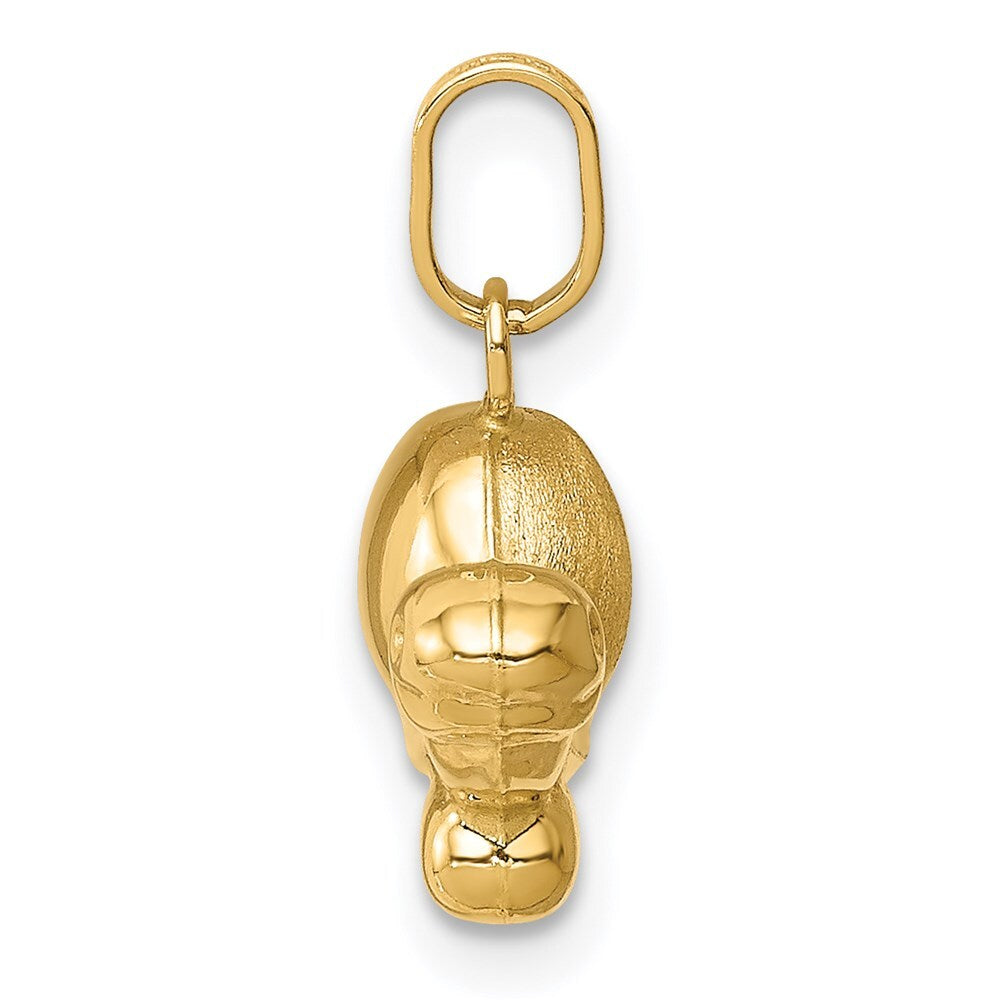 14k Yellow Gold Satin & Polished Turtle Charm Pendant for Women
