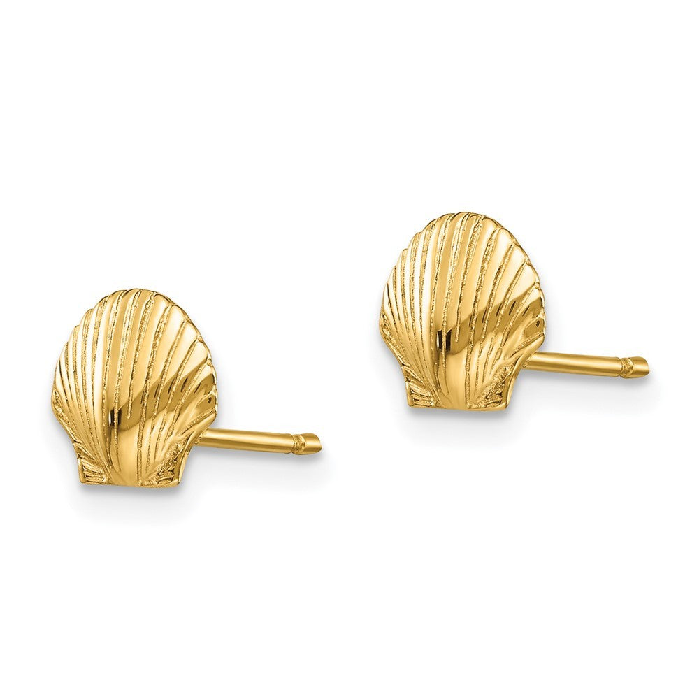 14k Yellow Gold Mini Scallop Shell Earrings