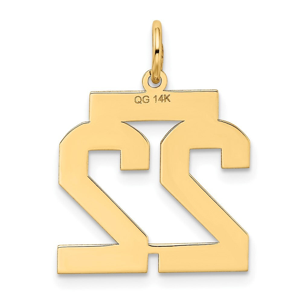 14k Yellow Gold Medium Satin Number 22 Charm Pendant for Women