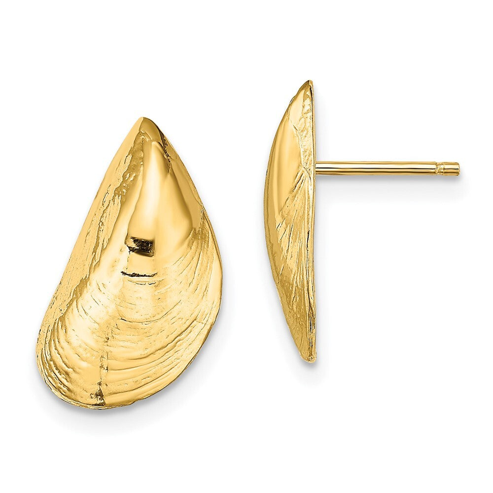 14k Yellow Gold Mussel Shell Stud Earrings Gift for Women