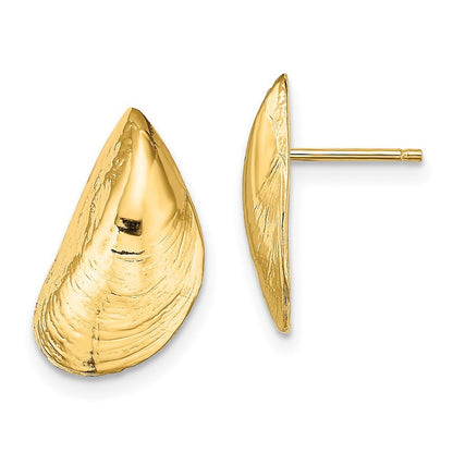 14k Yellow Gold Mussel Shell Stud Earrings Gift for Women