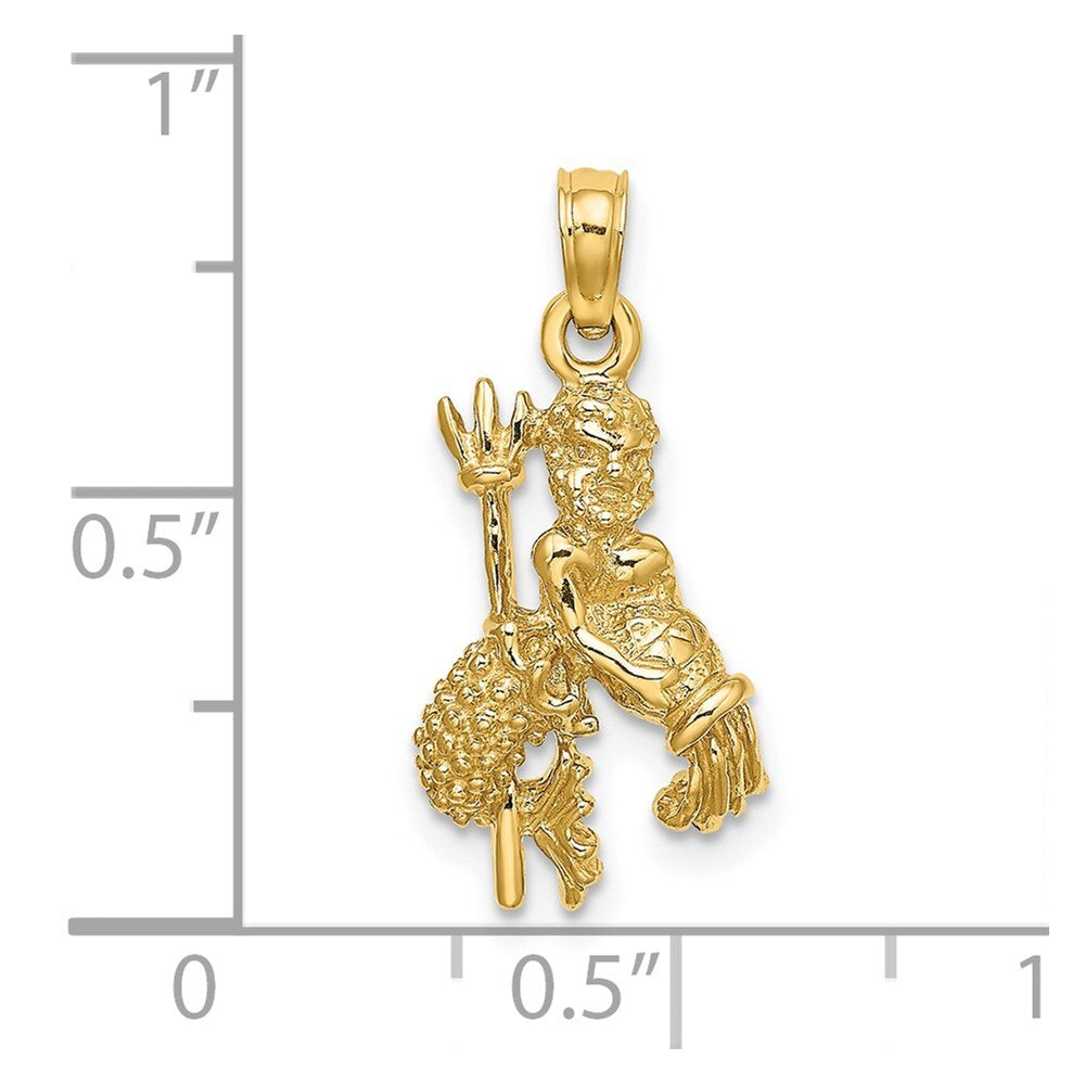 14k Yellow Gold 3-D Aquarius Zodiac Charm Pendant for Women