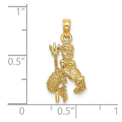 14k Yellow Gold 3-D Aquarius Zodiac Charm Pendant for Women