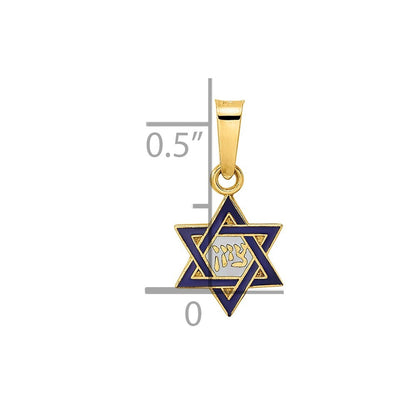 14k Yellow Gold Polished and Enameled Solid Star of David Pendant