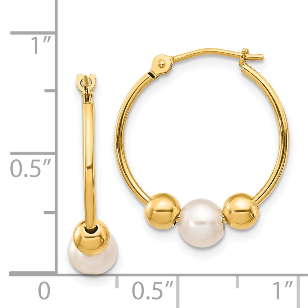 14k Yellow Gold 5-6mm Semi-round Freshwater Cultured Pearl Polished Hoop Earring