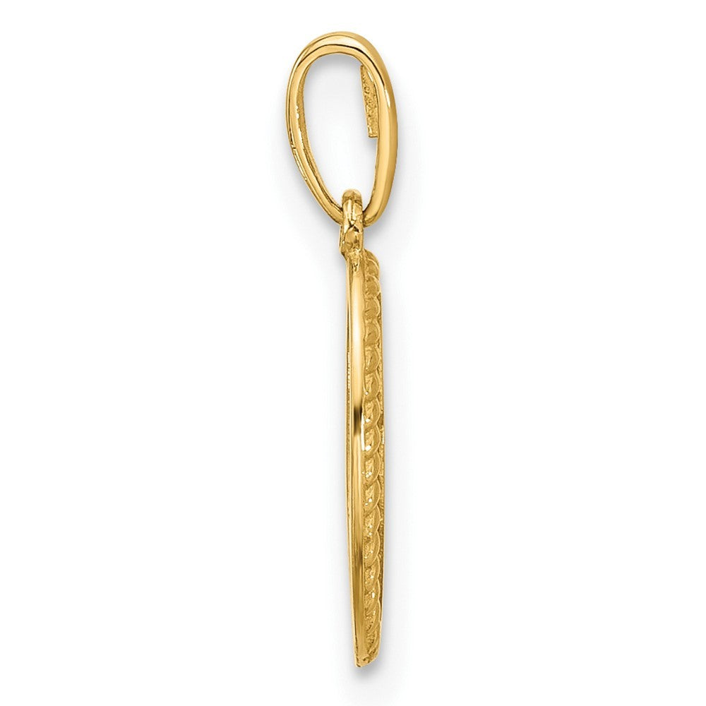 14k Yellow Gold Polished Oval with Rope Border Charm