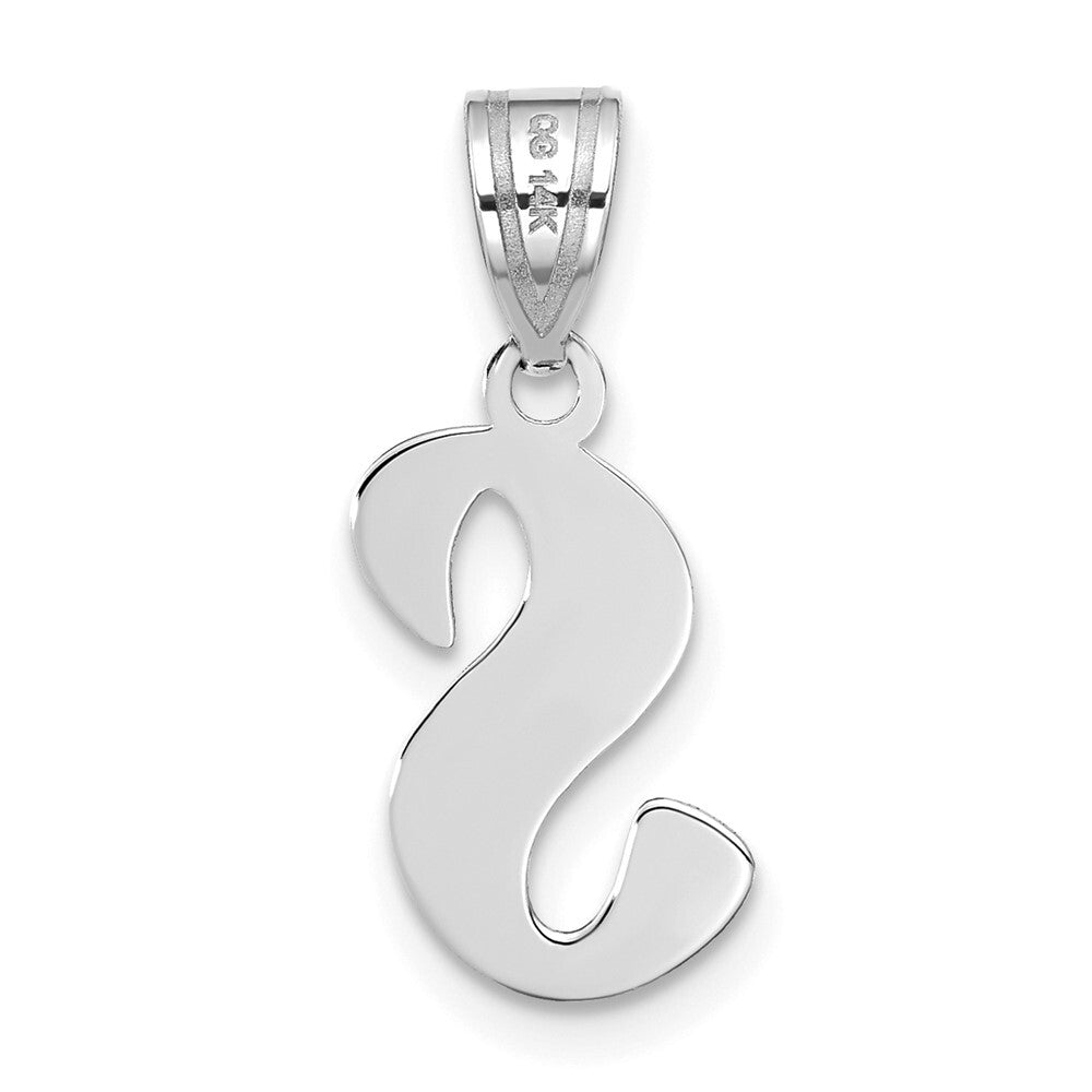 14k White Gold Polished Script Letter S Initial Pendant for Women