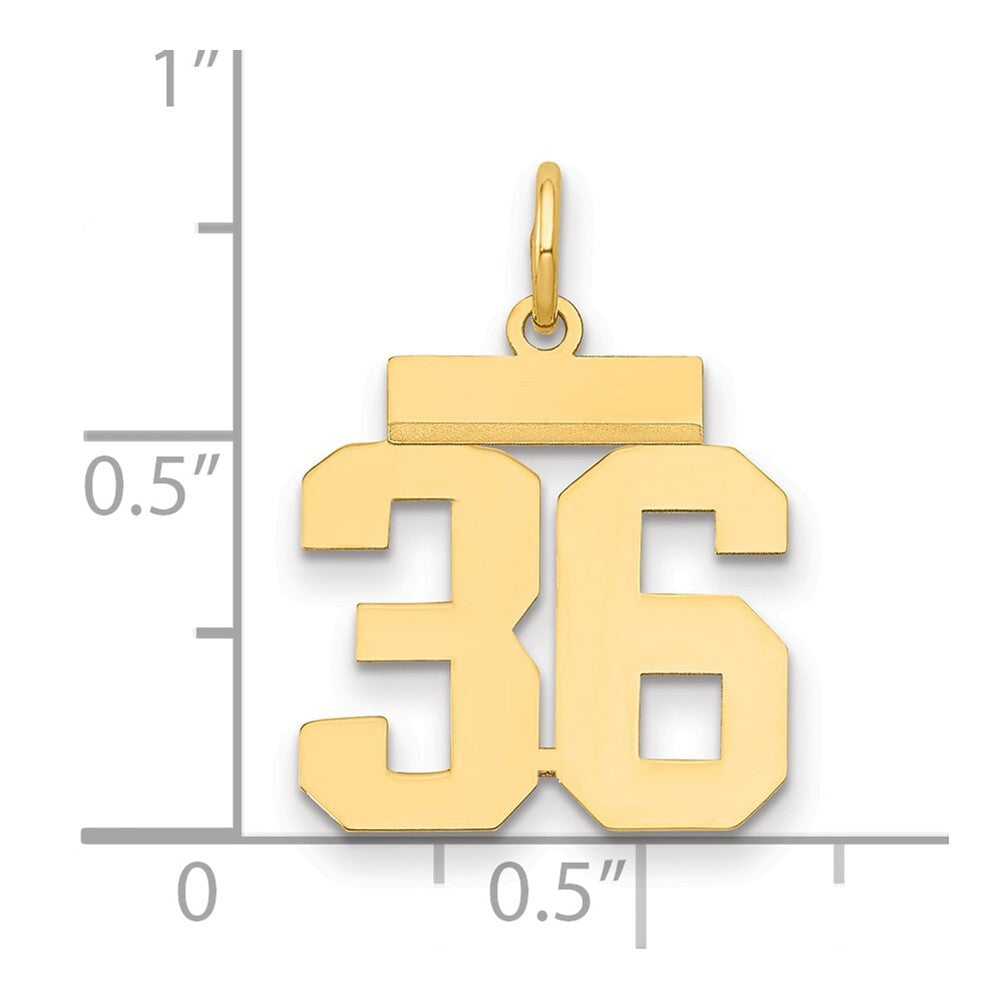 14k Yellow Gold Small Polished Number 36 Charm Pendant for Women