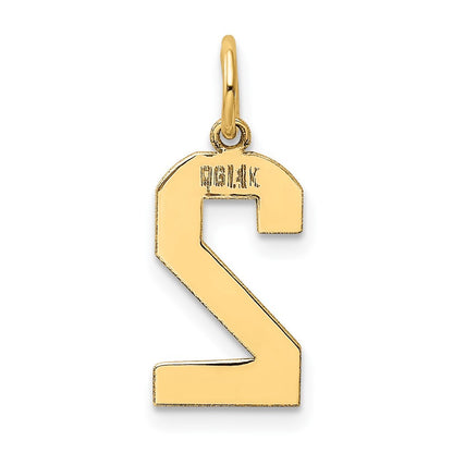 14k Yellow Gold Medium Polished Number 2 Charm