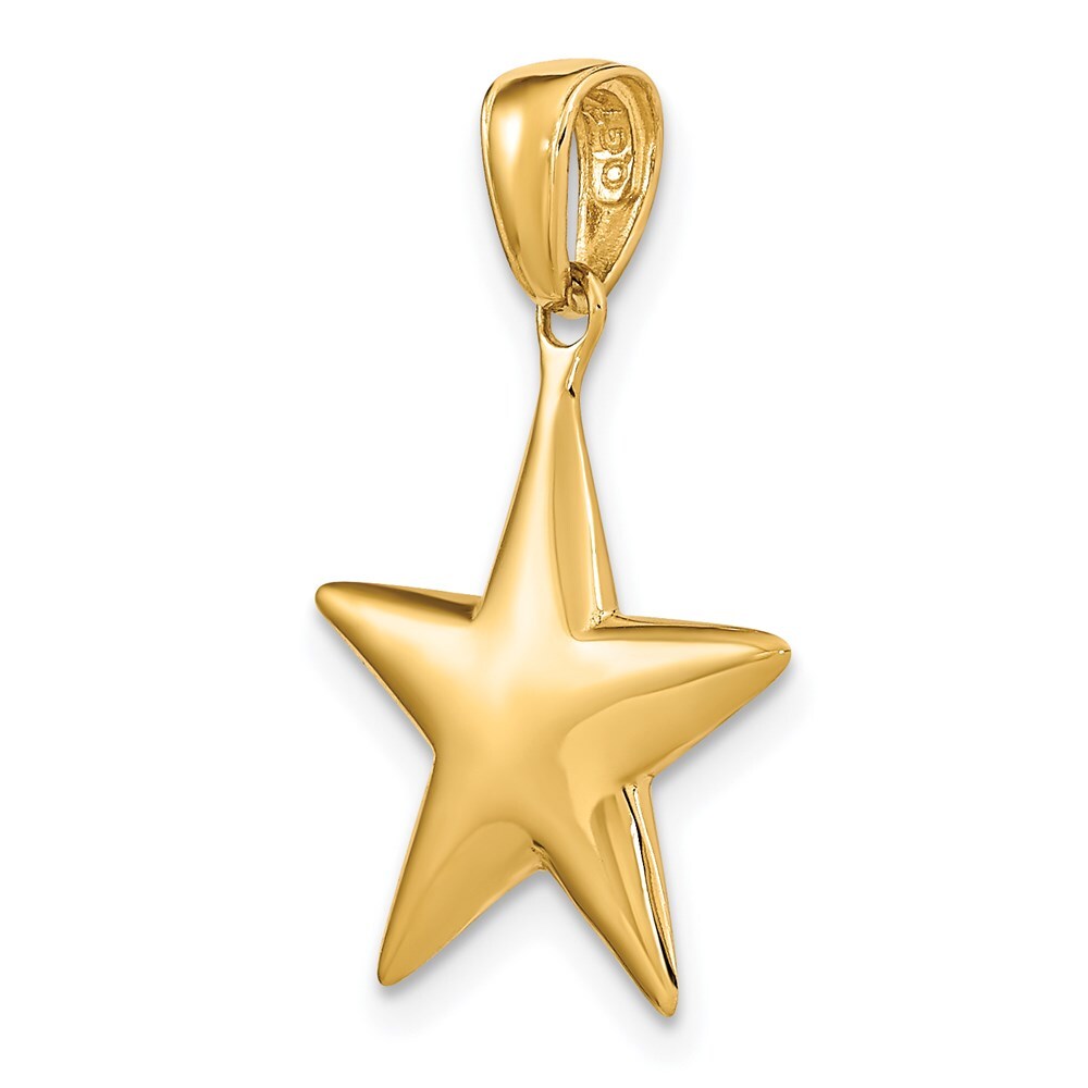 14k Yellow Gold Polished 3-D Star Pendant for Women