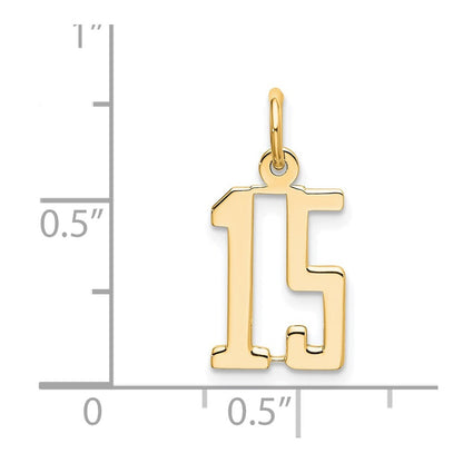 14k Yellow Gold Small Elongated Number 15 Charm Pendant for Women