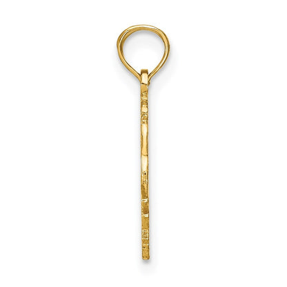 14k Yellow Gold CAPRICORN Zodiac Charm