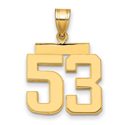 14k Yellow Gold Medium Polished Number 53 Charm Pendant for Women
