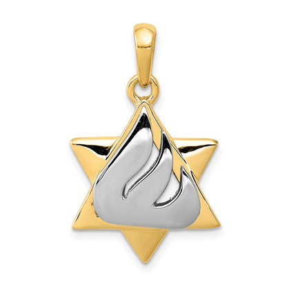 14k Two-Tone Gold Star of David Pendant