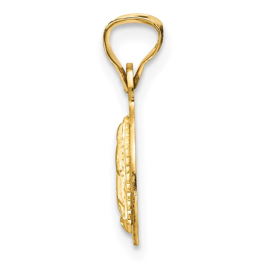 14k Yellow Gold w/Rhodium Polished Diamond-Cut Lady Of Guadalupe Circle Pendant