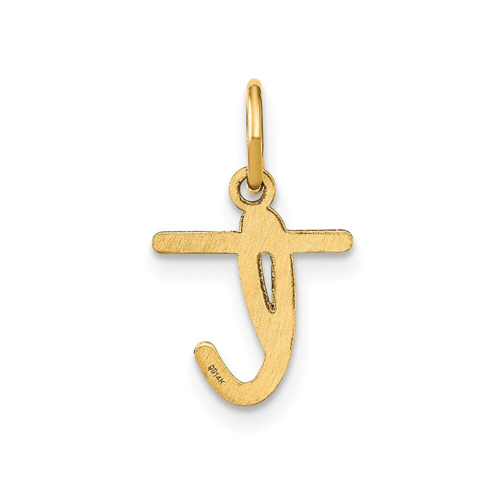 14k Yellow Gold Lower case Letter T Initial Charm Pendant for Women