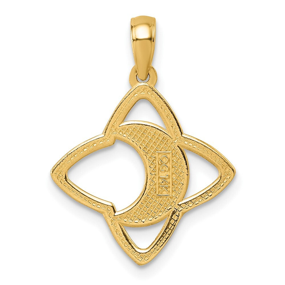 14k Yellow Gold Polished Moon and Star Pendant for Women