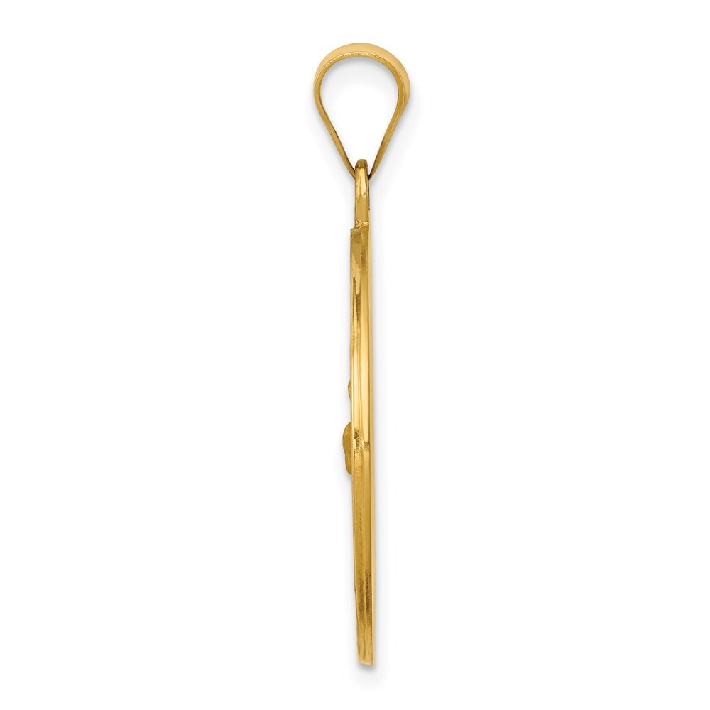 14k Yellow Gold Polished and Satin St Francis Medal Hollow Pendant