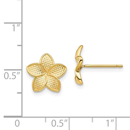 14k Yellow Gold Polished & Textured Plumeria Stud Earrings Gift for Women