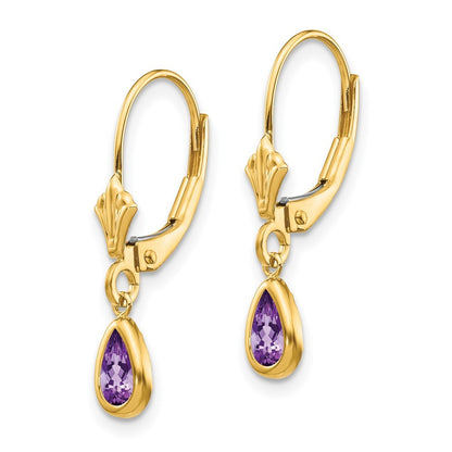 14k Yellow Gold 6x4mm Amethyst/February Earrings