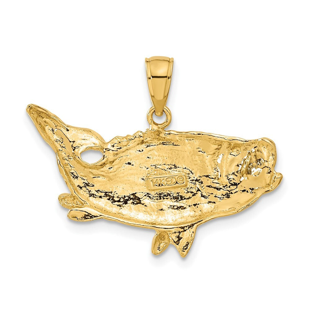 14k Yellow Gold Polished Open-Backed Bass Fish Pendant for Women