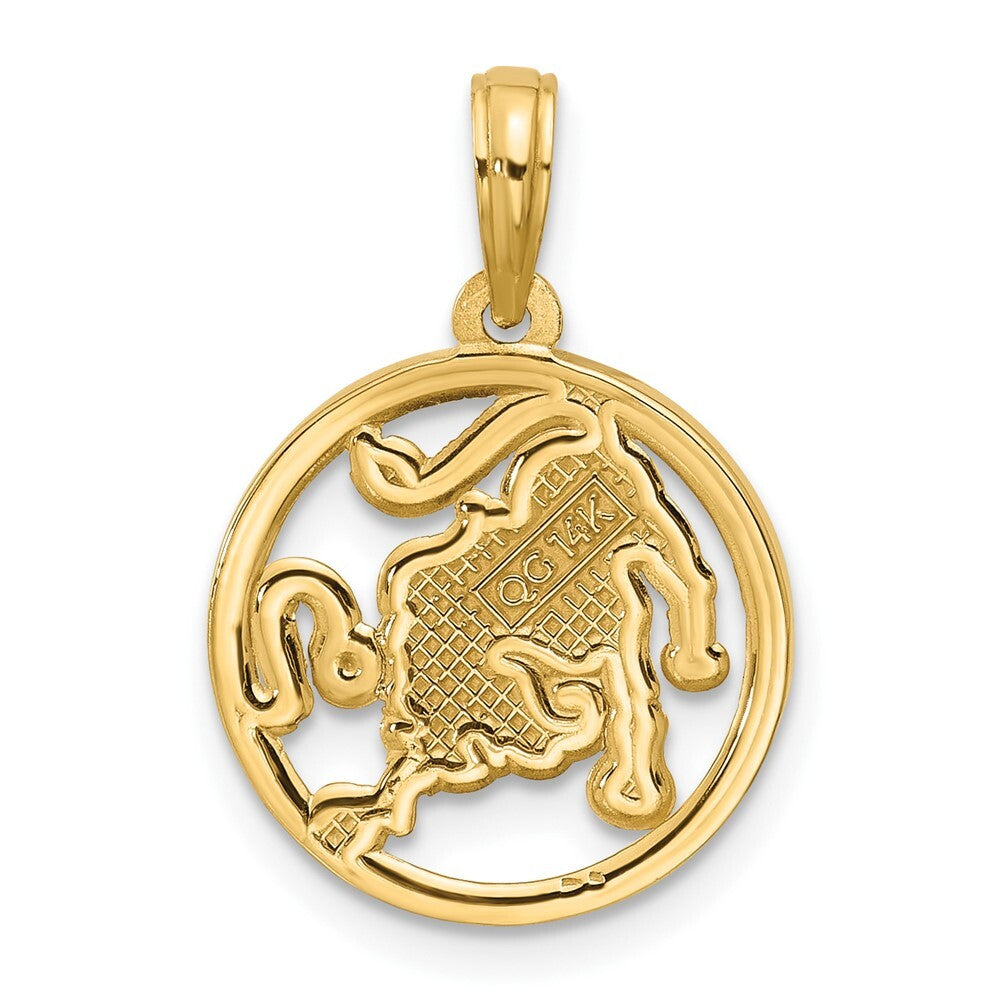 14k Yellow Gold Polished Round Leo Pendant for Women