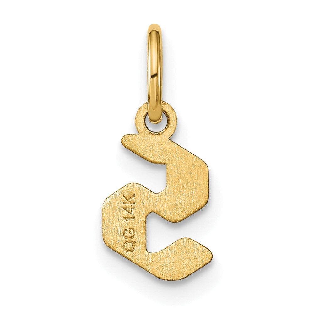 14k Yellow Gold Lowercase Letter S Initial Pendant for Women