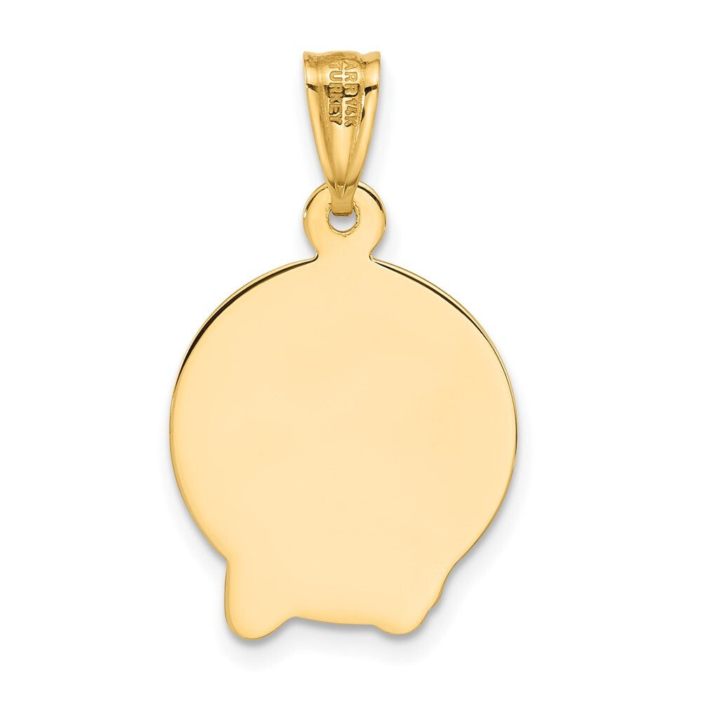 14k Yellow Gold Satin Jesus Medal Pendant