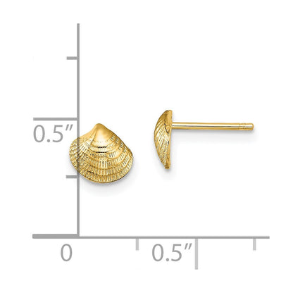 14k Yellow Gold Mini Clam Shell Stud Earrings Gift for Women