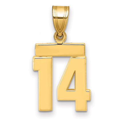 14k Yellow Gold Small Polished Number 14 Charm Pendant