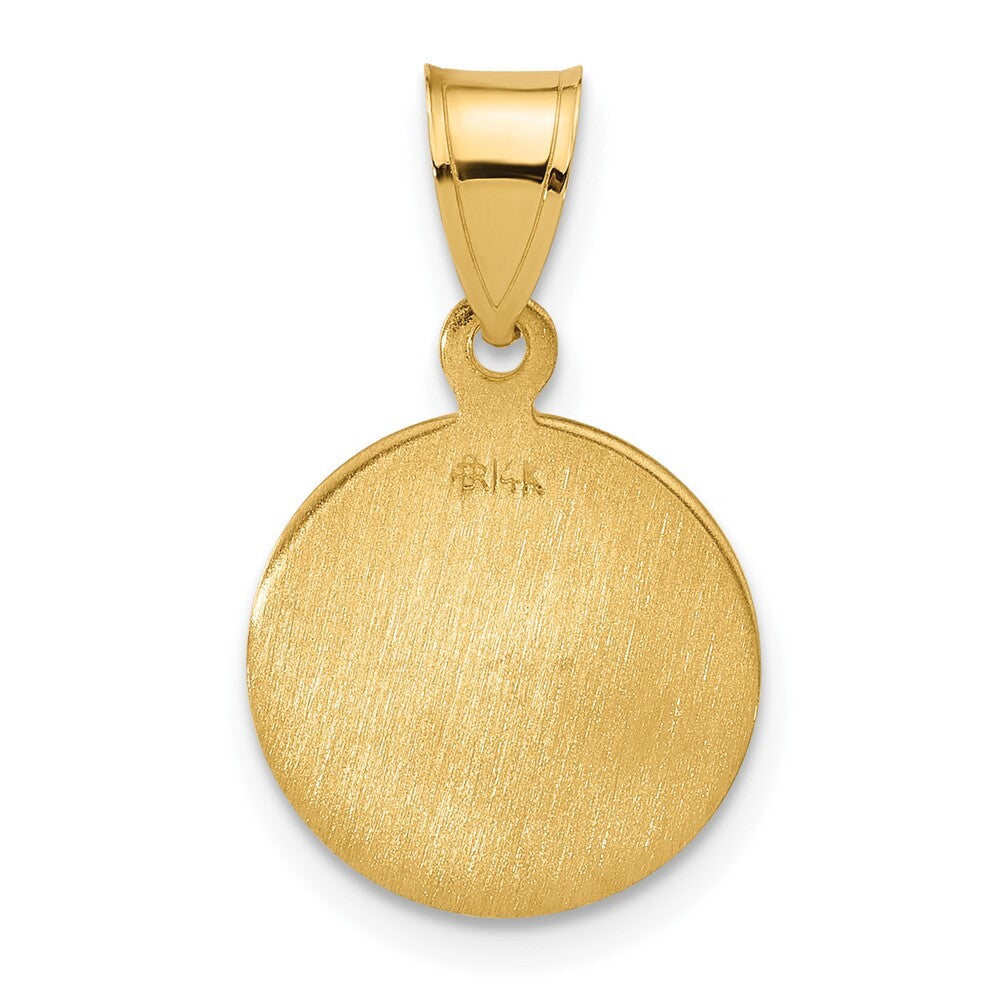 14k Yellow Gold Polished and Satin Solid Sacred Heart of Jesus Medal Pendant