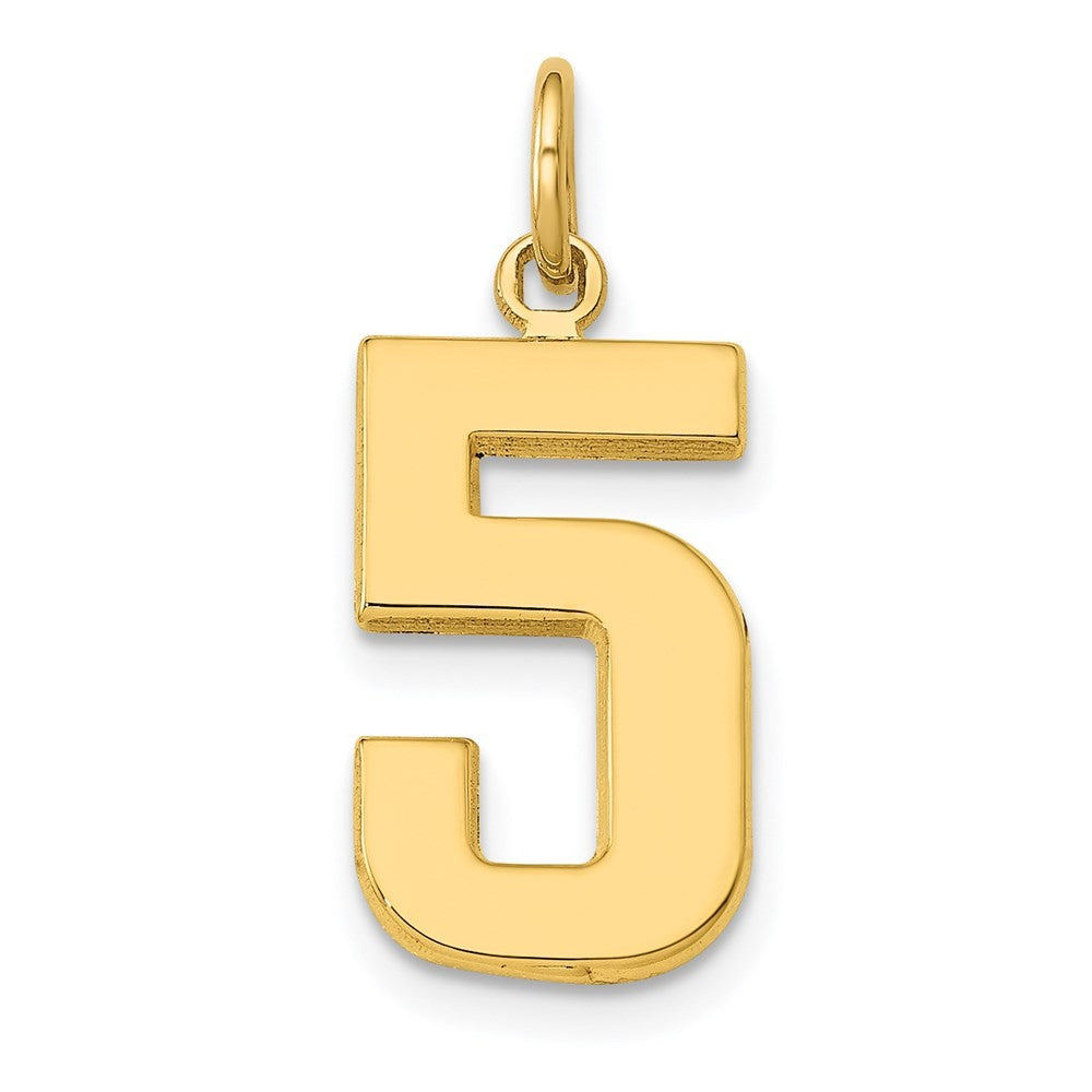 14k Yellow Gold Medium Polished Number 5 Charm Pendant